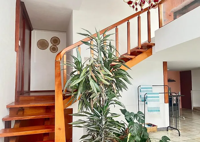 Сasa de vacaciones Senda Oasis Pool House - 4br, Next To Roma Sur *